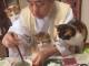 4匹の猫に囲まれて「おやつ欲しいにゃー！」　猫まみれなお寺の朝食風景がうらやましくて癒やされる
