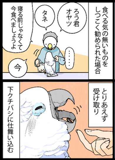 オウムも気を使っているのです 賢くて憎めないオウムさんとの日常マンガが笑ってしまう展開 ねとらぼ