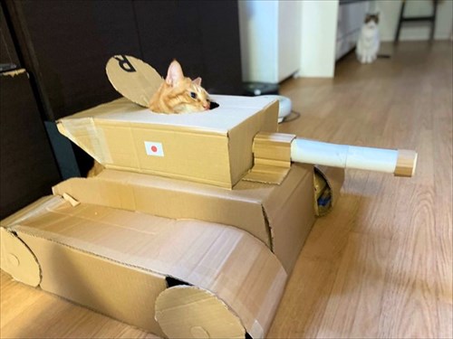 戦車に乗る猫ちゃん