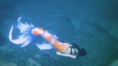 人魚 尻尾 泳ぐ シーラカンス 関西人魚会 マーメイド ステキ 美しい