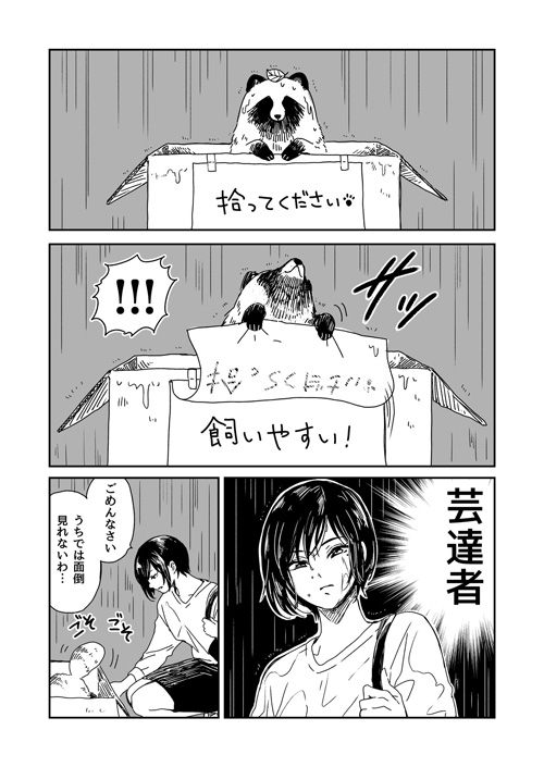 雨の中 捨てられていたのは クールなお姉さんに拾われたタヌキを描いた漫画が気になる 1 2 ページ ねとらぼ