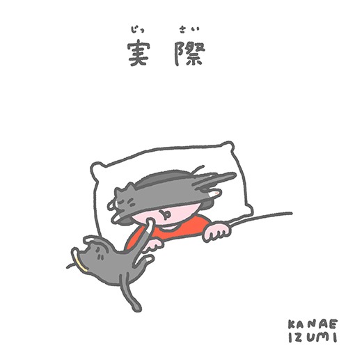 猫たちと暮らす 理想 と 現実 って 漫画 猫と暮らしていて 思ってたのと違うこと に幸せがつまってる ねとらぼ