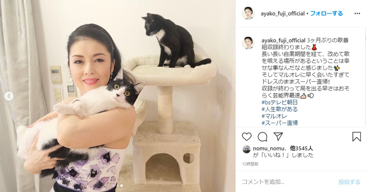 猫飼いあるあるですよね 藤あや子 愛する家族のもとへ芸能界最速の スーパー直帰 を果たす 1 2 ページ ねとらぼ