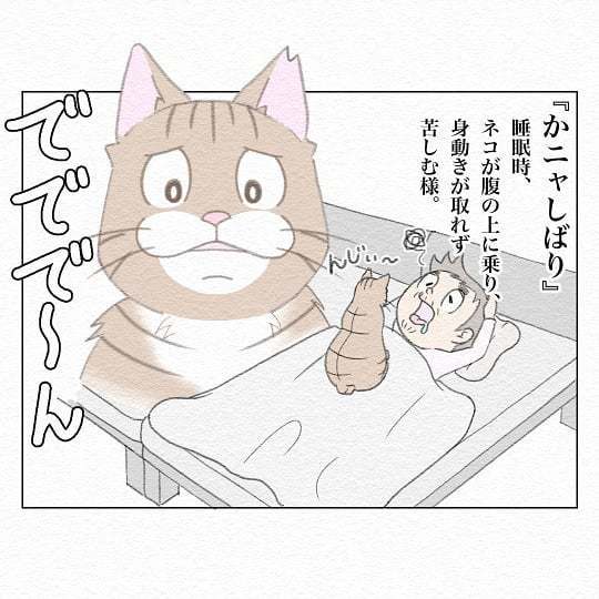 寝てる時なんだか息苦しい 猫が夜中に見せた必殺技とは 猫との攻防を描いたレポ漫画が面白い ねとらぼ