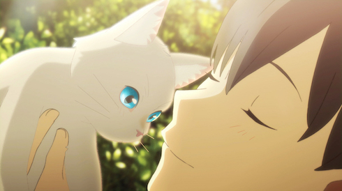 「泣きたい私は猫をかぶる」思春期の“こじらせ”に優しく寄り添うアニメ映画、その「5つ」の魅力