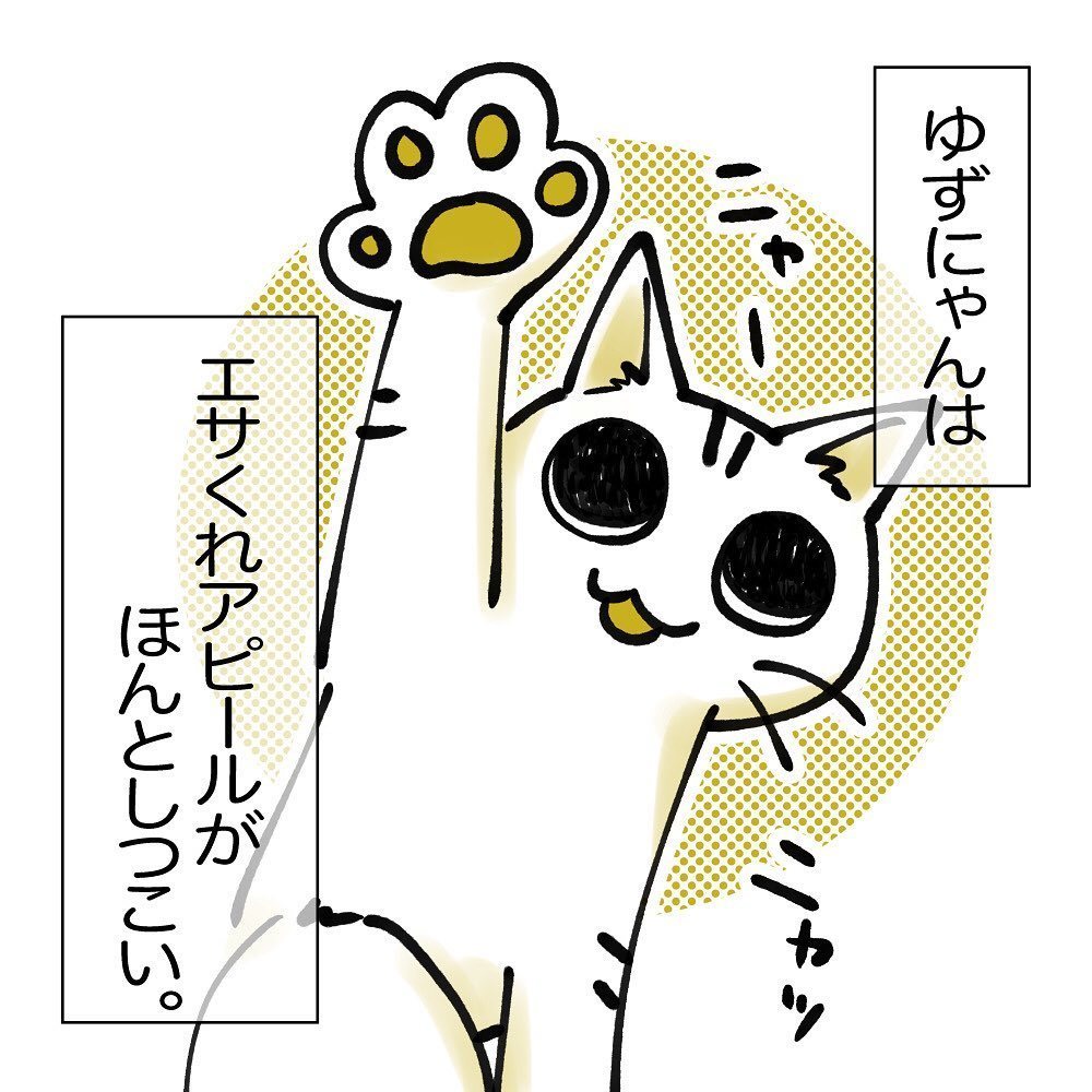ごはんくれニャー アピールがお上手な猫ちゃん あきらめない姿を描いた漫画にほほえんじゃう 1 2 ページ ねとらぼ