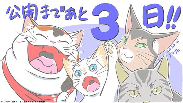 泣きたい私は猫をかぶる 泣き猫 猫モーション スタジオコロリド 横田匡史