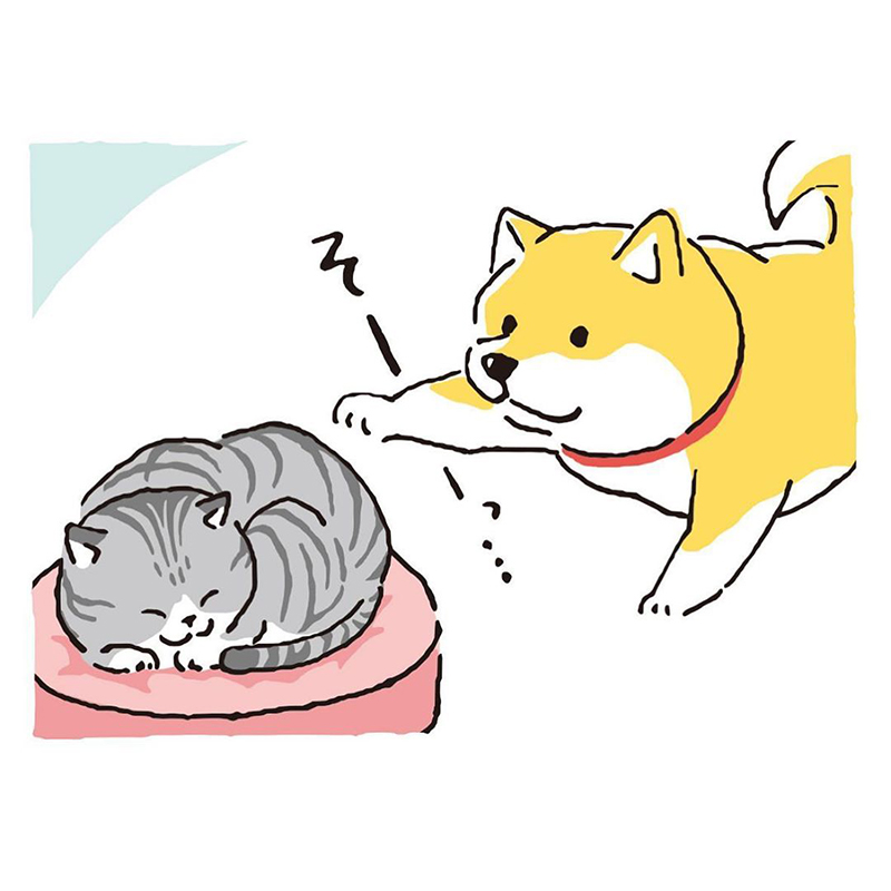 猫の眠りを邪魔する柴犬にクリティカルヒット 犬と猫の力関係を描いた漫画に共感の声が集まる ねとらぼ