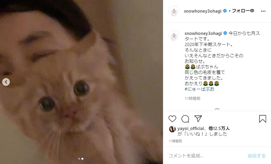 石田ゆり子 子猫の バンビ をお迎えする 1年前に急逝した ばぶちゃん に あまりにもそっくり 1 2 ページ ねとらぼ