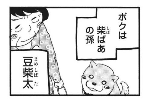漫画 柴ばあと豆柴太 ヤマモトヨウコ 震災 3.11