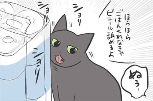 起きない飼い主に ゴハン出せ脅迫 愛猫と飼い主の攻防漫画が面白い ねとらぼ