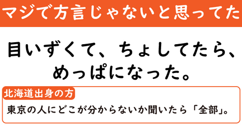 えっ 舌ベロ 横入り って方言なんです 神奈川県育ちの方に聞いた マジで方言じゃないと思ってた言葉 2 2 ページ ねとらぼ