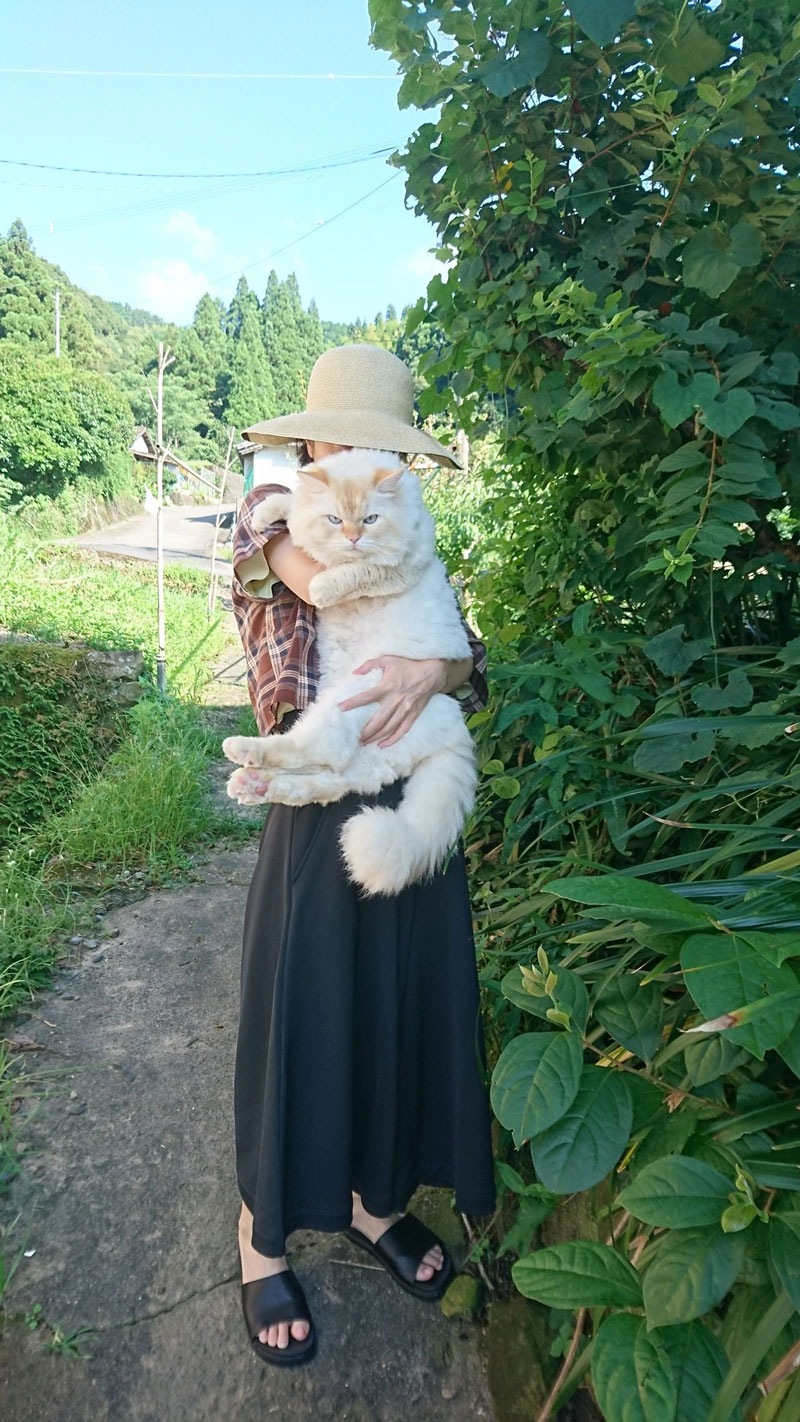 でかすぎて最高な猫 がモッフモフで最高 存在感ばつぐんの巨大猫がかわいい ねとらぼ