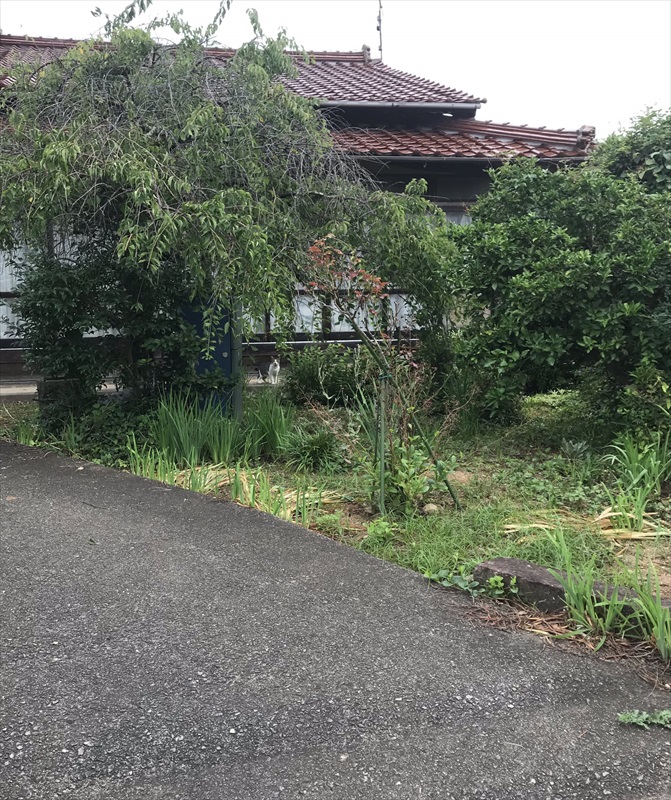 難易度e の猫を探せ Twitterに登場した ニャンコ探し が超難問 1 2 ページ ねとらぼ