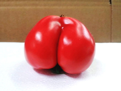 お尻型のトマト