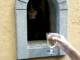 イタリアで伝染病対策として「ワインの窓」が復活　およそ400年を経たリバイバル