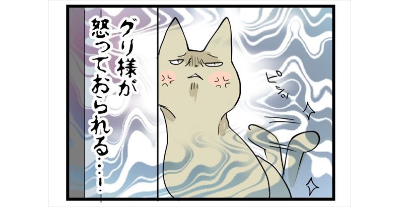 きょうだい猫のケンカが勃発 その原因は 姉猫が好きすぎる弟猫を描いた漫画が面白い ねとらぼ