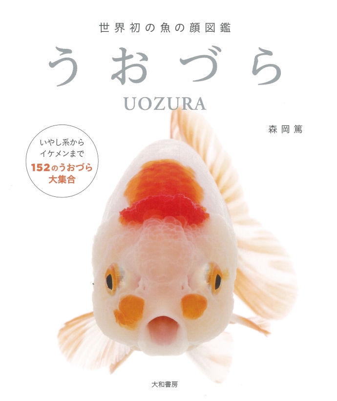 怒ってる さん そっくり 正面から撮った表情がおもしろかわいい 世界初の魚の顔図鑑 うおづら ねとらぼ