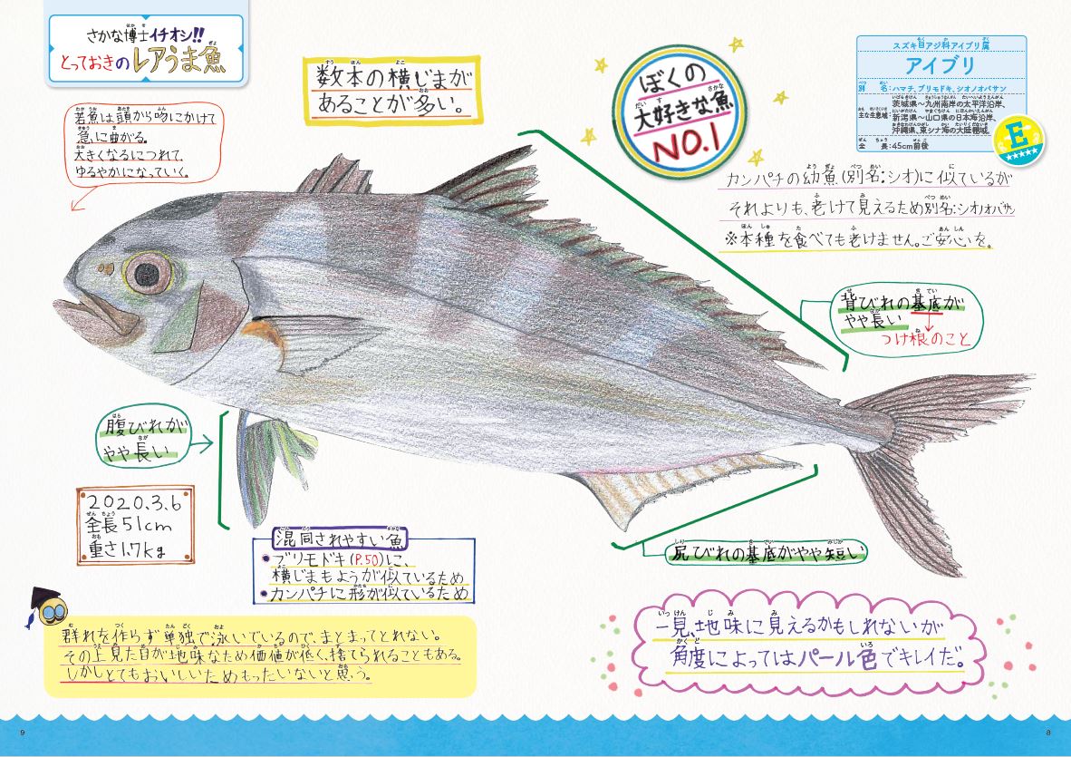 小学6年生の 手作り魚図鑑 が圧倒的な熱量 珍しさ と おいしさ から独自に格付けし書籍化 ねとらぼ