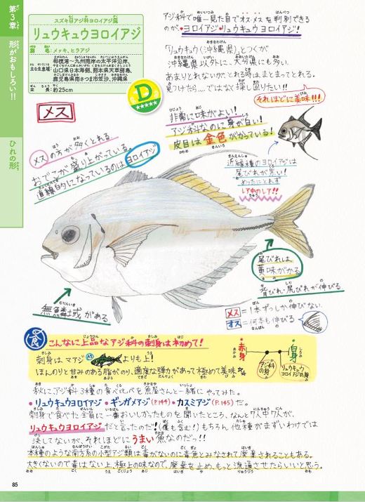 小学6年生の 手作り魚図鑑 が圧倒的な熱量 珍しさ と おいしさ から独自に格付けし書籍化 ねとらぼ