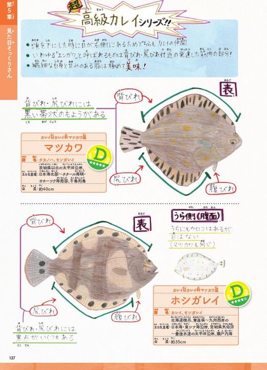 レアうま魚図鑑