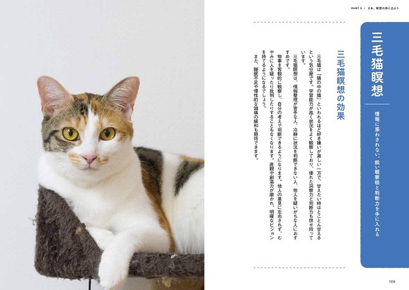 一緒にリラックスするニャ 猫に学ぶ瞑想の入門書『ねこ瞑想』が登場