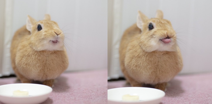 バナナを食べると日本一幸せになれるうさぎさん がかわいい にっこにこな笑顔に癒やされる ねとらぼ