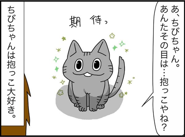 抱っこ大好き猫と 抱っこ耐久戦 してみたら 甘えん坊猫を描いた漫画が面白かわいい ねとらぼ