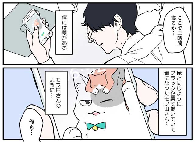 俺も 猫になりたい 漫画 ブラック企業の社員が猫になって人生が変わった話 転職編の続きが気になる 1 2 ページ ねとらぼ