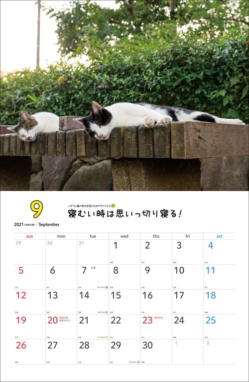 2021　幸せを招くハチワレ猫カレンダー