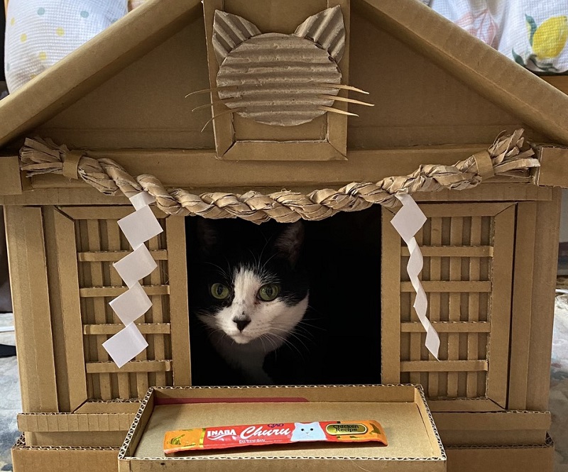 「お父さんすごい」「とても素敵」 猫神様が入ったダンボール製“猫神社”の完成度が高すぎる - ねとらぼ