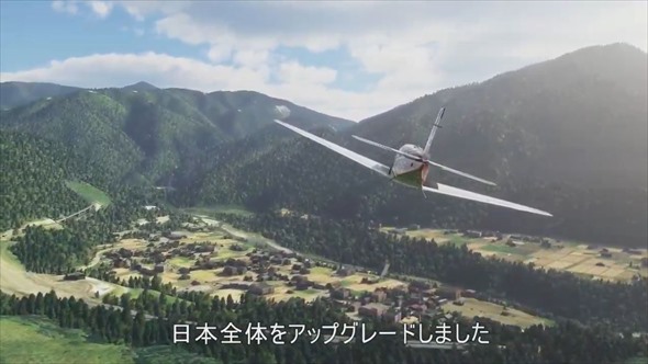 Microsoft Flight Simulator