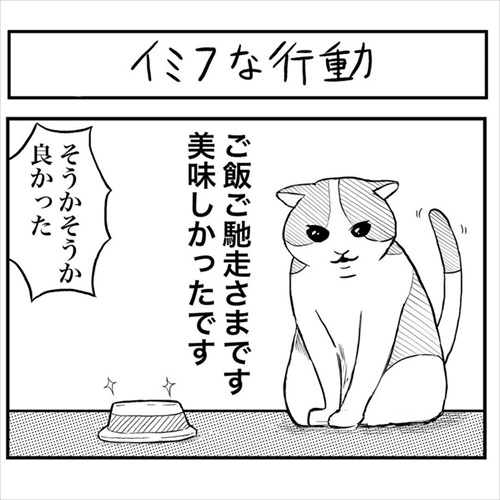 ご飯を食べて新しいシーツにご機嫌だった猫 なのに 飼い主の絶望 を描いた漫画に あるある の声 1 2 ページ ねとらぼ
