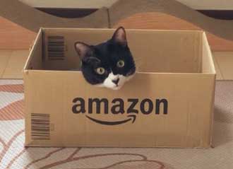 猫たちに 自分の好きな箱選んでね と言った結果が面白かわいい Amazonダンボール箱を前に3匹がとった行動は ねとらぼ