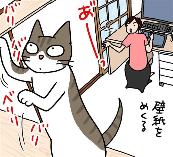 飼い主にかまってほしい猫の作戦とは 知能犯な猫 を描いた漫画に うちもです 猫は賢い の声 ねとらぼ