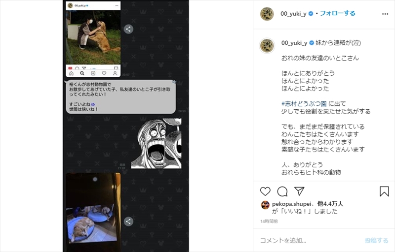 この喜びを伝えたいのだ 山田裕貴 志村どうぶつ園 で触れあった保護犬の まさかの里親 に感動 ねとらぼ