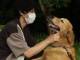 「この喜びを伝えたいのだ」　山田裕貴、「志村どうぶつ園」で触れあった保護犬の“まさかの里親”に感動