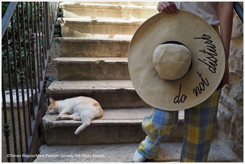 Comedy Pet Photography Awards