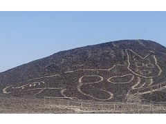 ナスカの地上絵で“古代ネコ”発見 衝撃ニュースにネット騒然（1/2 ページ） - ねとらぼ