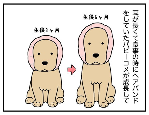 飼い主 なにこのかわいい生き物 愛犬の思わぬ変身 を描いた漫画が面白い ねとらぼ