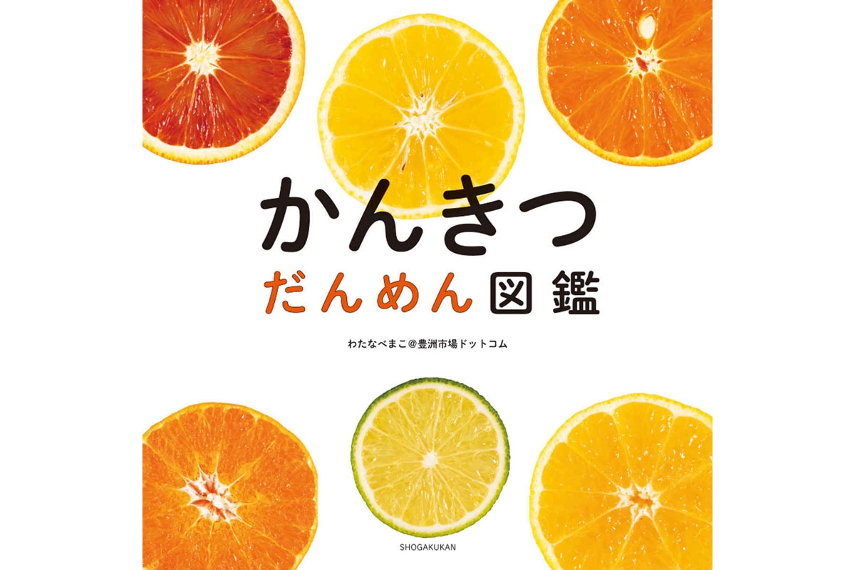 ミカンをスパッ 断面の配列が美しい かんきつ だんめん図鑑 登場 ねとらぼ