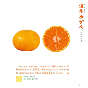 柑橘系断面図