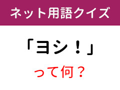 意味知ってる ネット用語クイズ ヨシ 6 11 ページ ねとらぼ