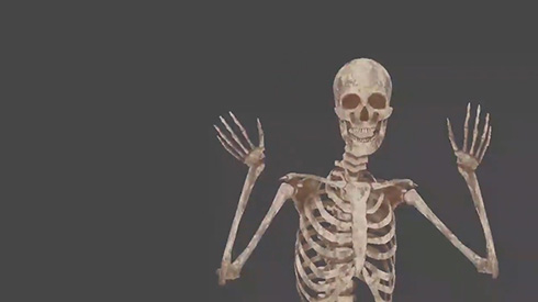 自分を骨格標本にしちゃえば良くね 先生自らの体で人体の仕組みを教えるバーチャル授業がおもしろい ねとらぼ