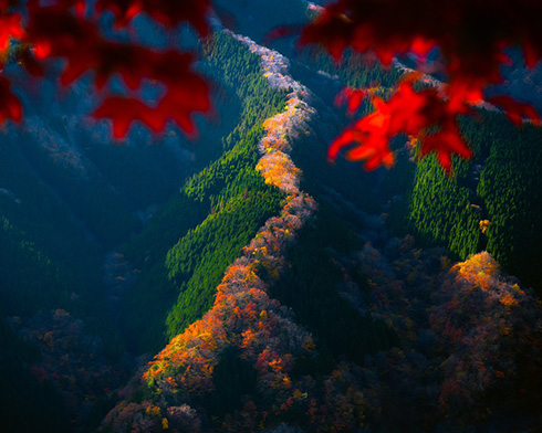 紅葉の“昇り龍”　奈良の秘境写真に「息を呑むとはこのこと」など感動の声