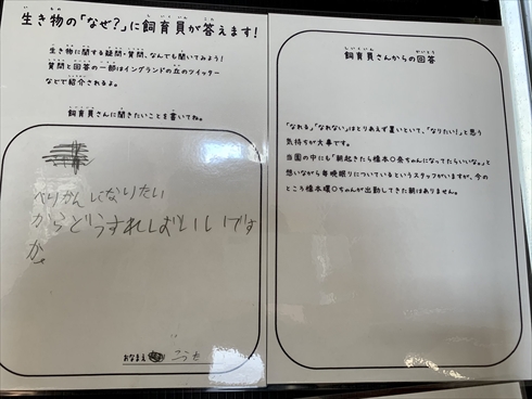 ぺりかんになりたい キングコブラを飼育してほしい 無茶ぶり質問にガチ回答する イングランドの丘 の飼育員さんが話題に 1 2 ページ ねとらぼ