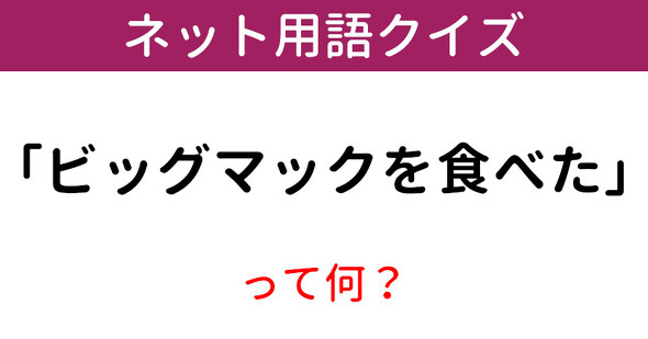 意味知ってる ネット用語クイズ ビッグマックを食べた 1 12 ページ ねとらぼ