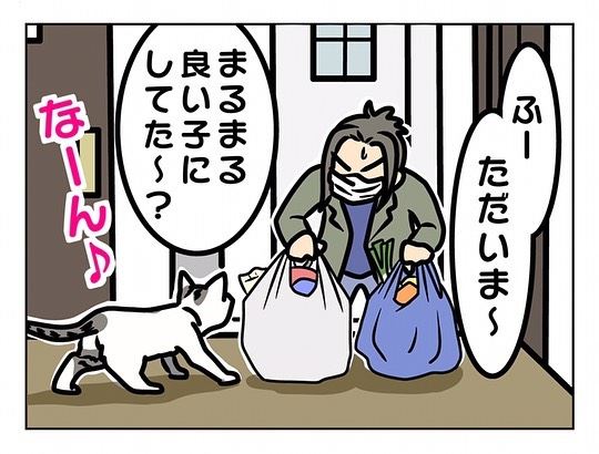 飼い主 ママのこと好き 猫 無言 忖度しない猫 に複雑な思いをいだく飼い主の漫画 ねとらぼ