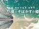 細田守監督の最新作「竜とそばかすの姫」、2021年夏に公開決定！　ネット世界の登場に“原点回帰”との指摘も