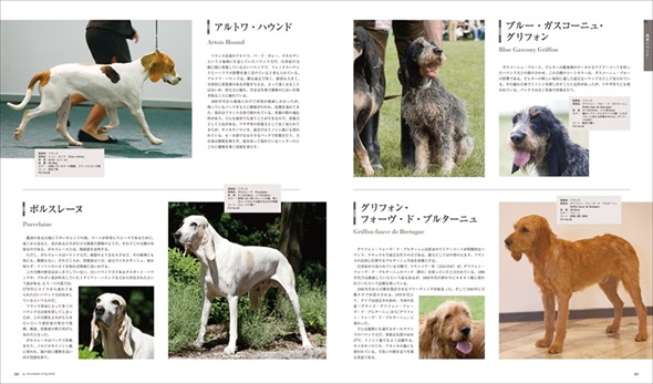 世界の犬種大図鑑
